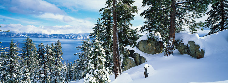 Picos nevados de Tahoe Lienzo