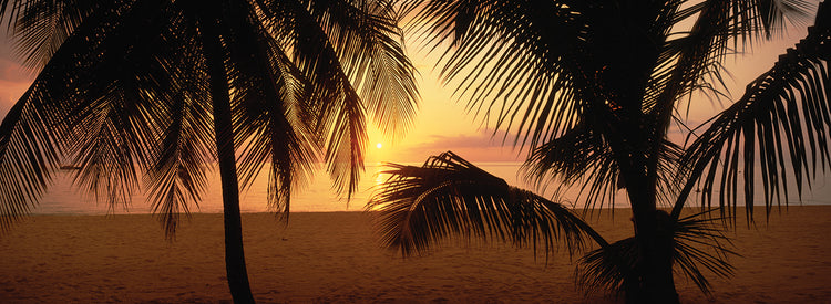 Jamaican Love Sunset