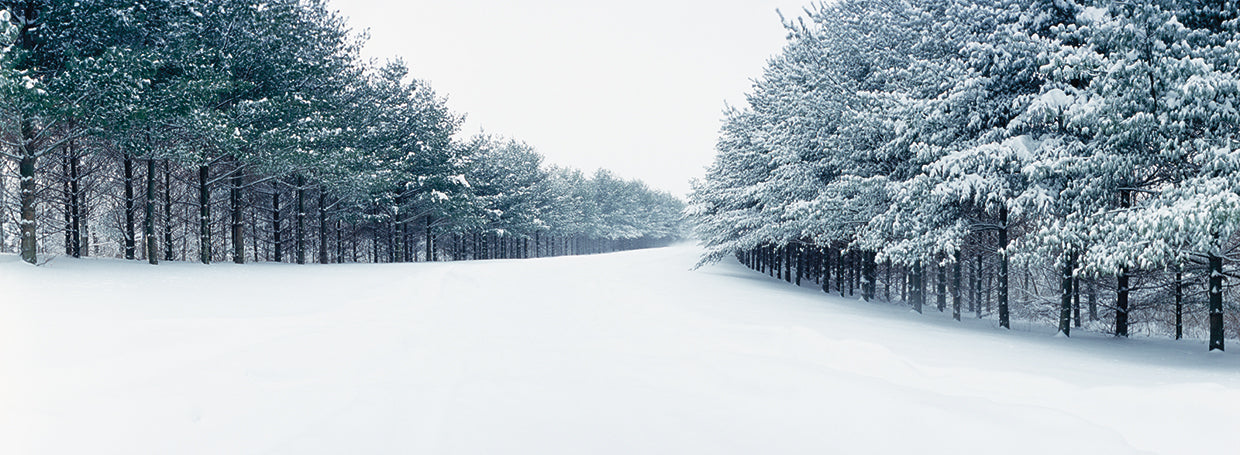 Giro nevado Illinois Lienzo