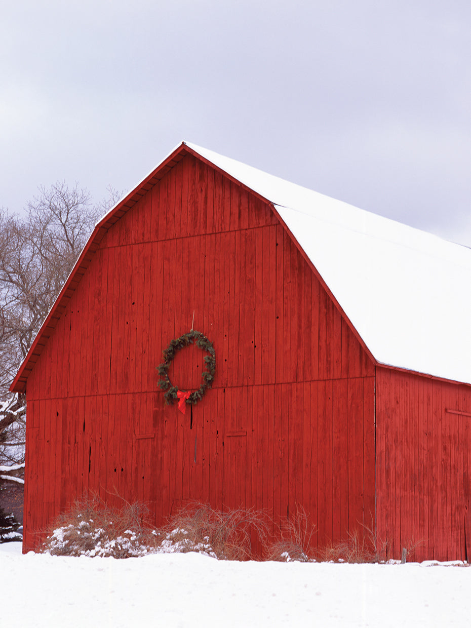 Navidad en Michigan Lienzo