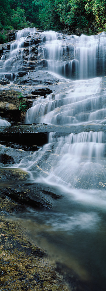 Bosque de Glen Falls NC Lienzo