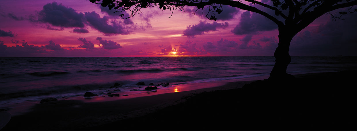 Amanecer púrpura de Oahu Lienzo
