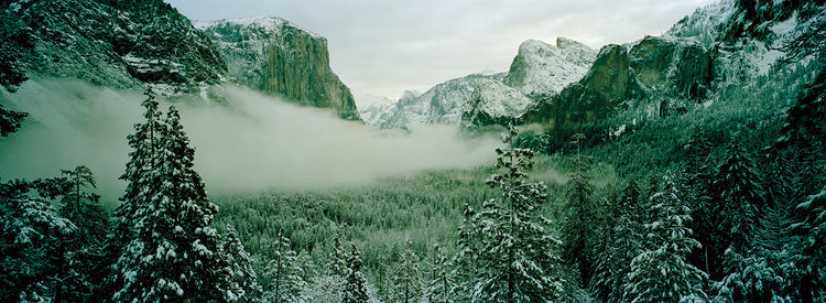 Bosque brumoso de Yosemite Lienzo