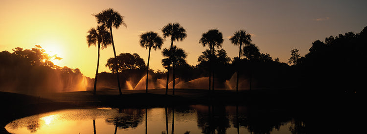 Campo de golf Palmeras Lienzo