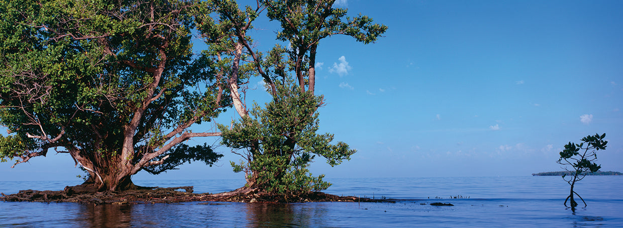 Diez mil islas FL Lienzo