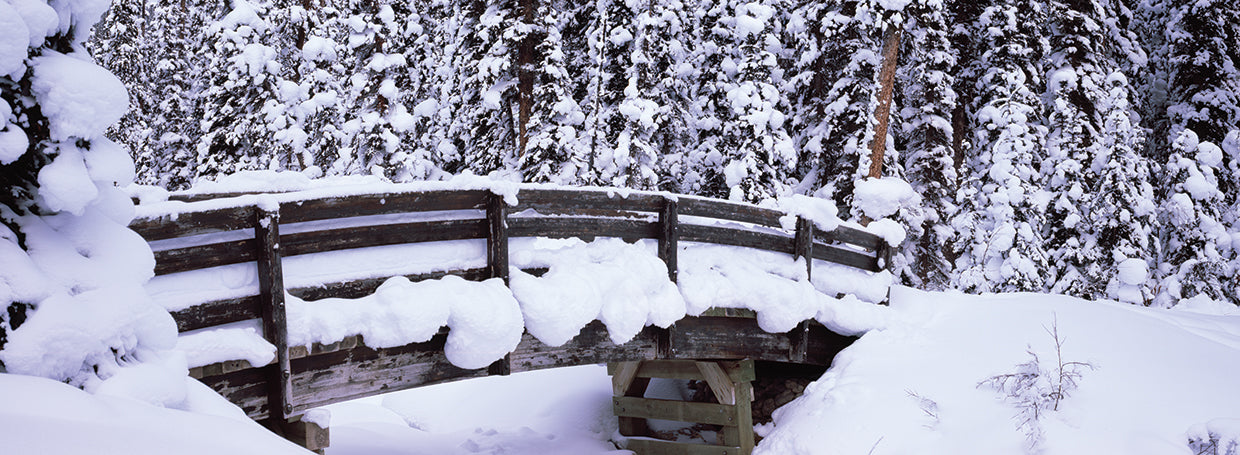 Puente de escarcha banff Lienzo