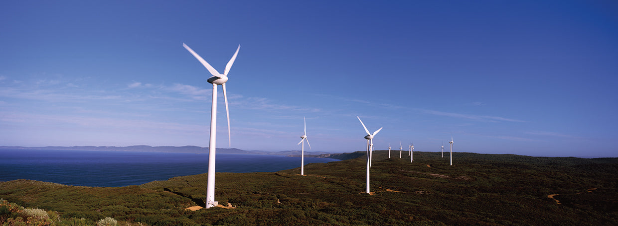 Abajo debajo de los molinos de viento Lienzo