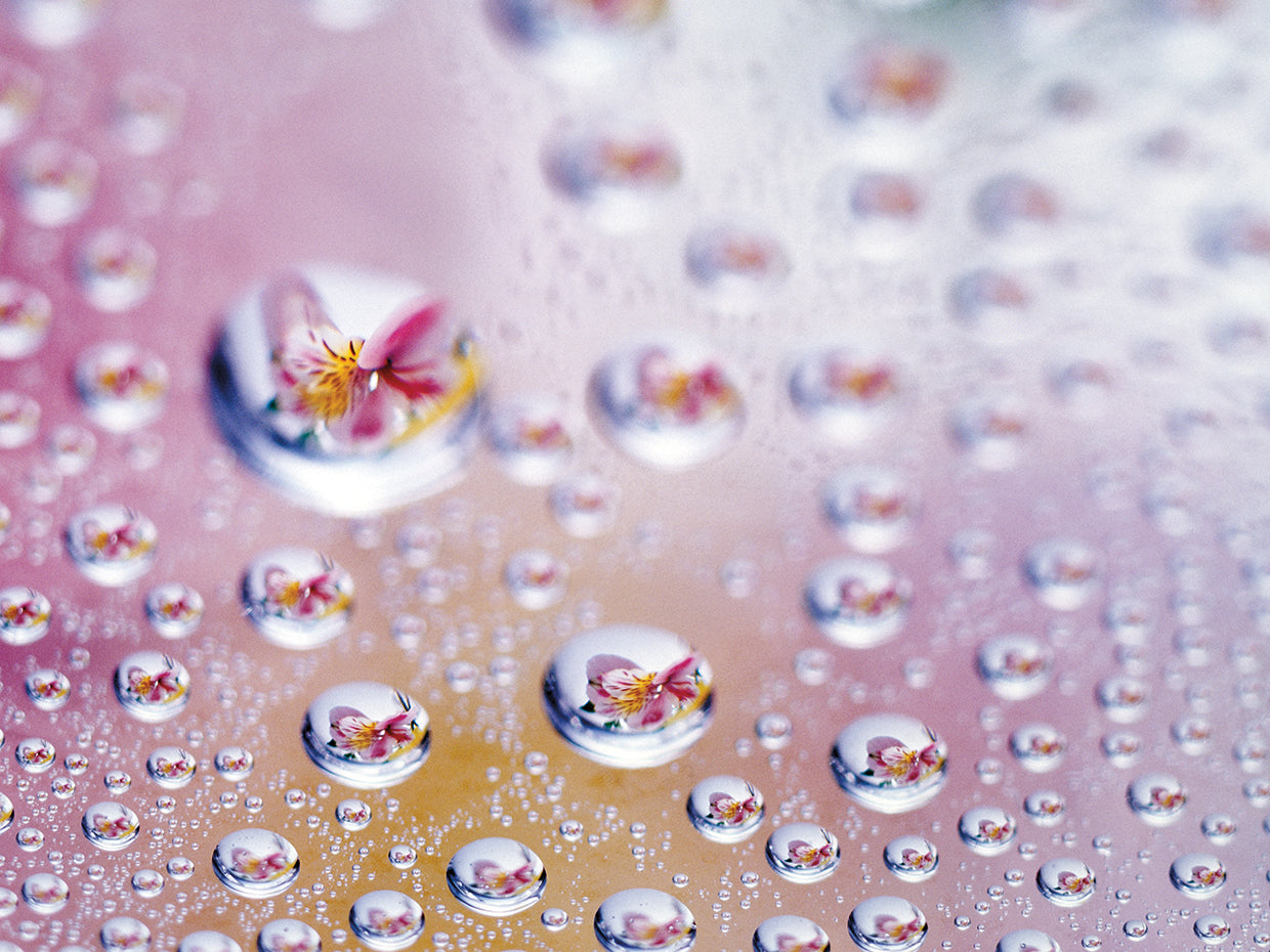 Bouncing Color Bubbles