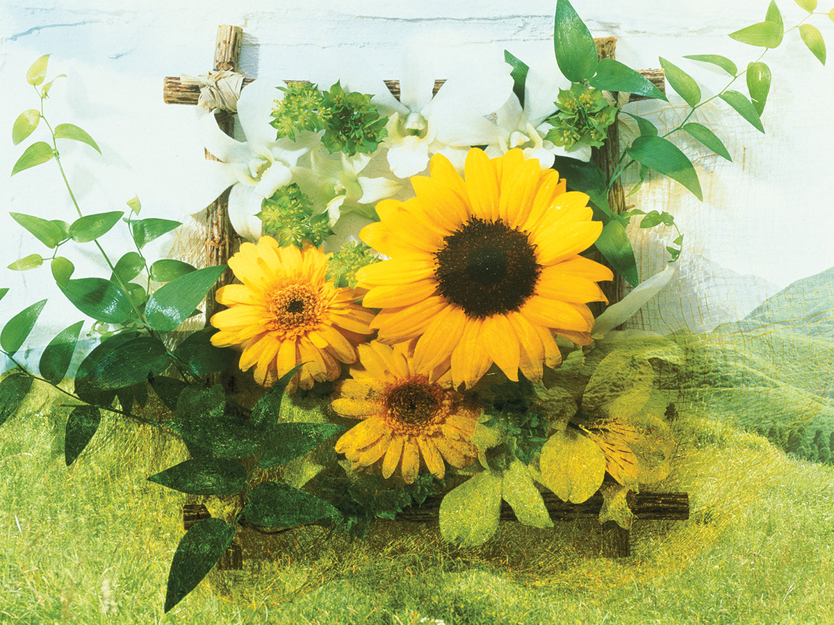 Sunflowers Cheer Me Up