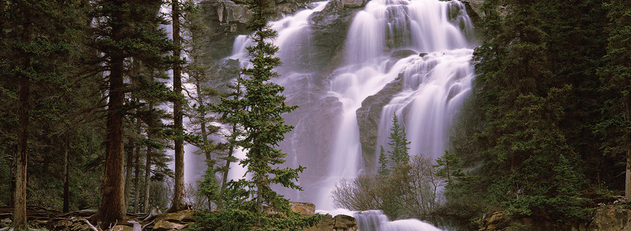 Bosque Splash Alberta Lienzo