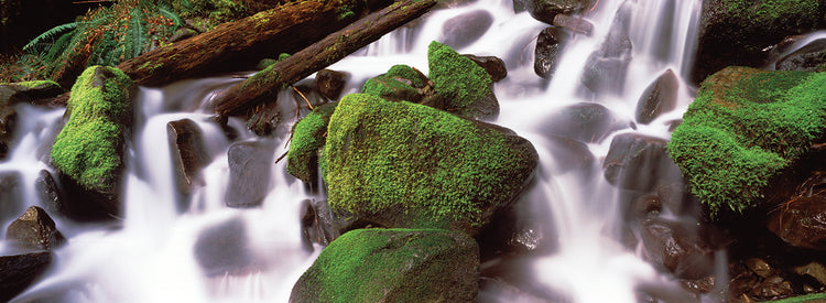 Mossy Rocks Waterfall
