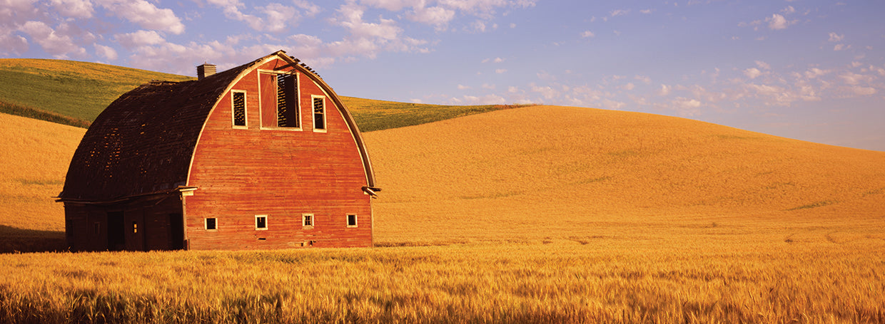 Washington Wheat Farm
