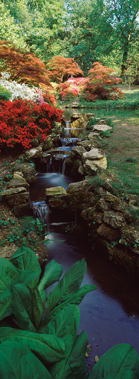 Hampshire Garden