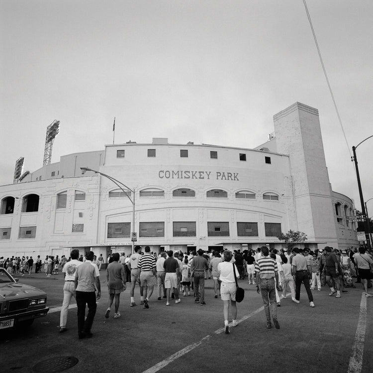 Baseball Fans Chicago