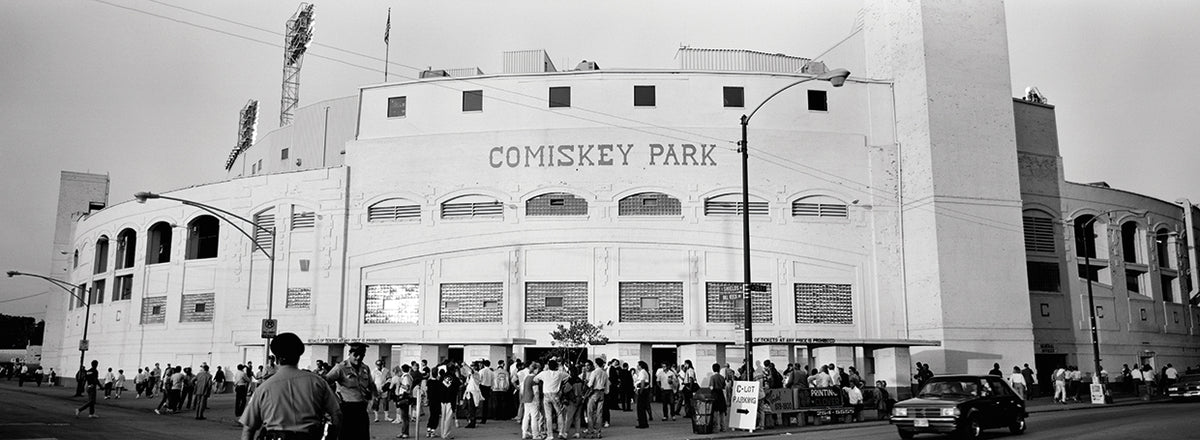 Comiskey Park Fans