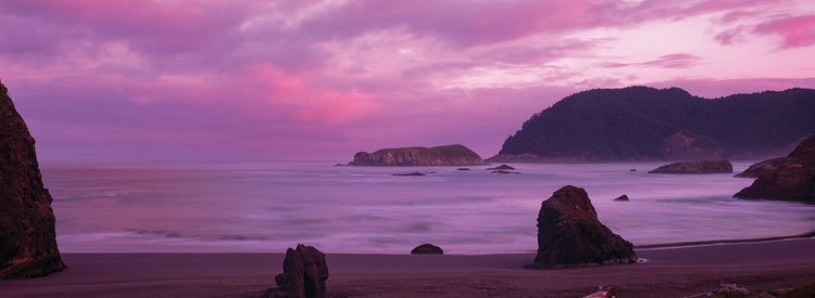 Purple Mist Pacific