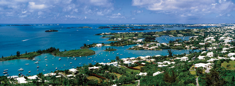 Tropical Coast Bermuda