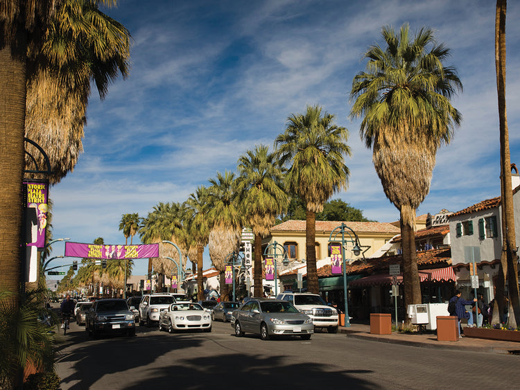 Recorriendo Palm Springs Lienzo