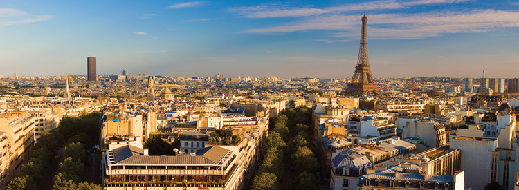 Viaje de clase a París Lienzo