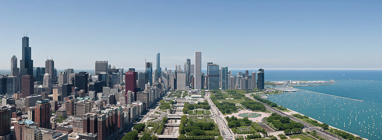 Grant Park View Chicago Lienzo