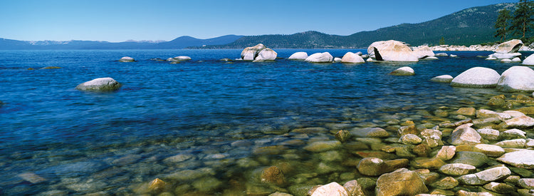 Cantos rodados de la playa de Tahoe Lienzo