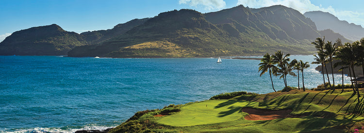 Tropical Kauai Lagoons