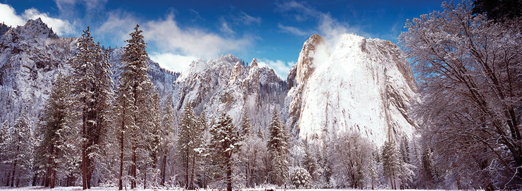 Yosemite Winter Beauty