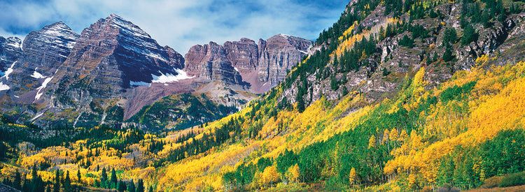 Awesome Aspen Autumn