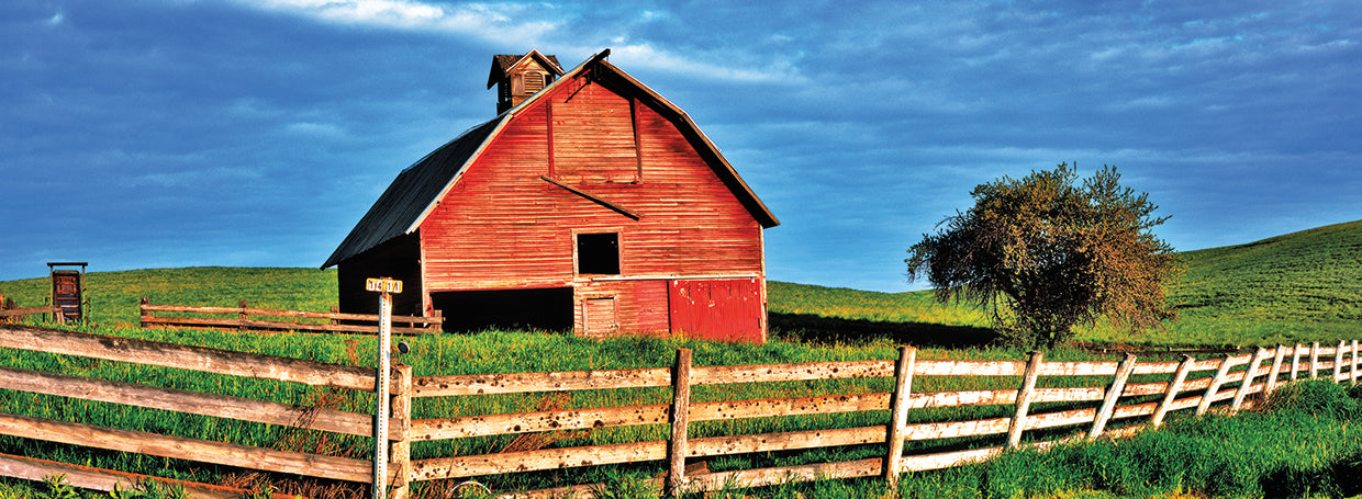 Rustic Reds Old Barn