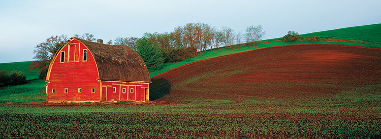 Sunset Farm Red Barn
