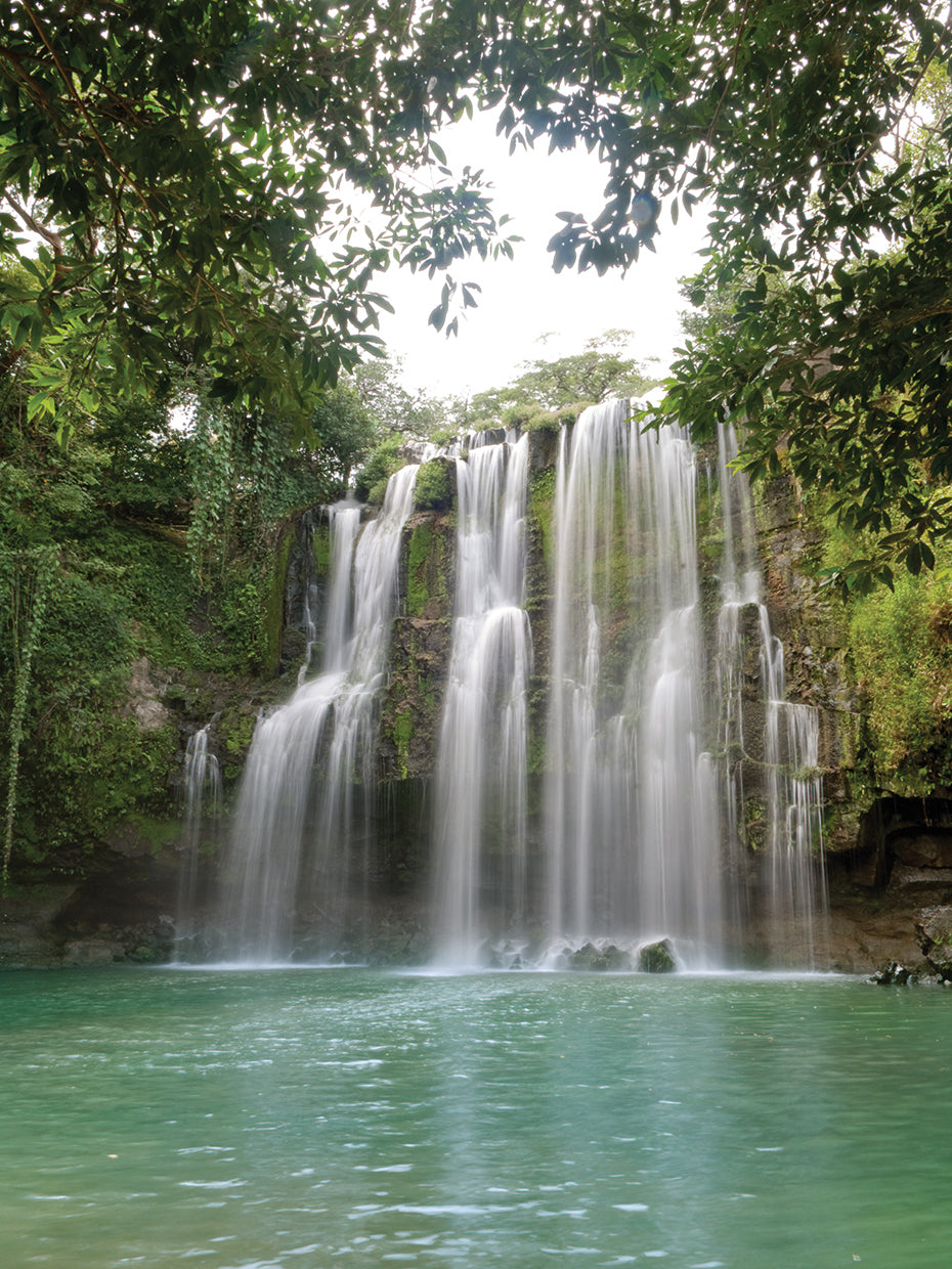 Cascada de piscina tropical Lienzo