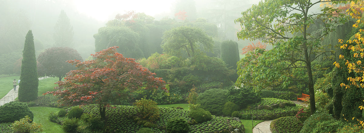 Victoria Island Nature
