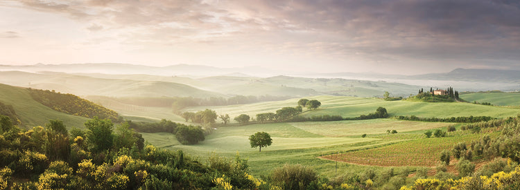 Campo brumoso toscano Lienzo