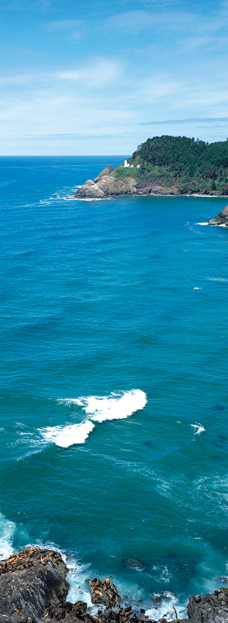 Oregon Blue Coast Cove
