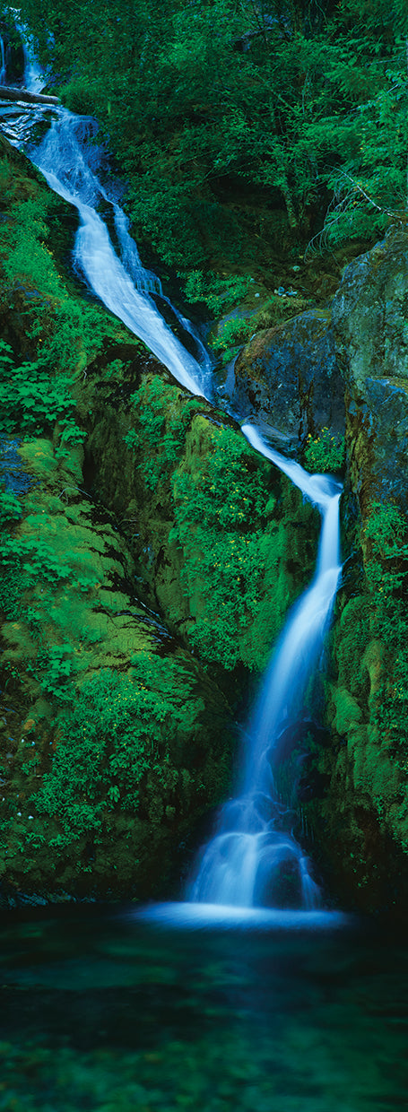Opal Creek Waterfall