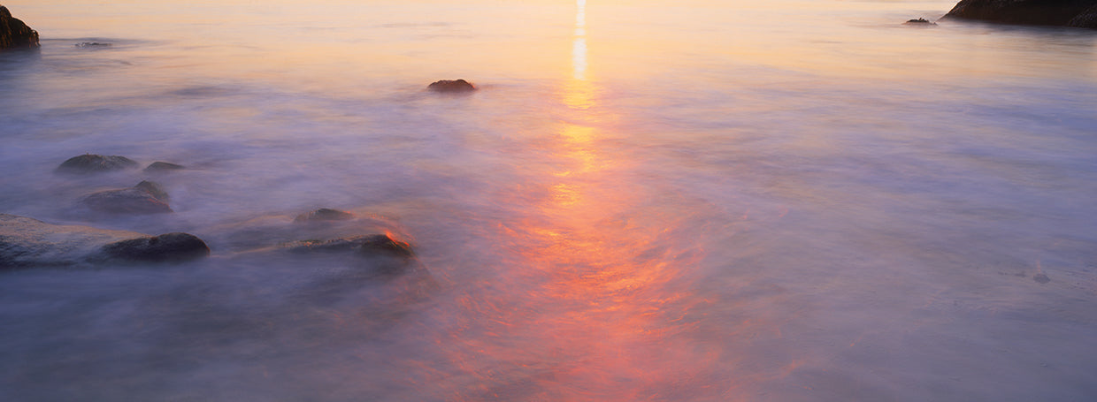 Golden Sea Shimmers