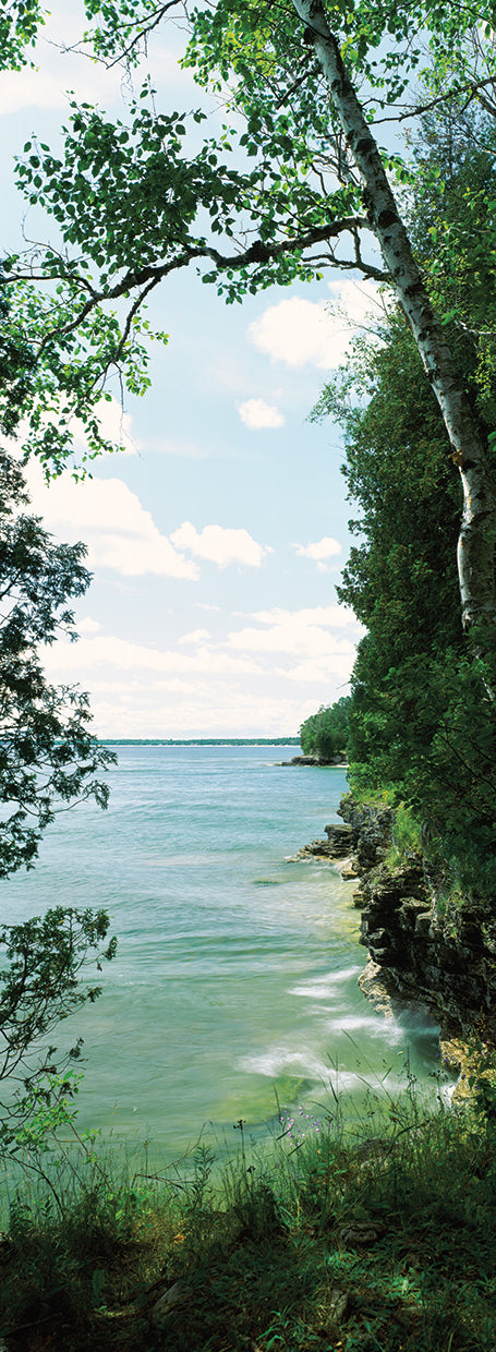 Frente al lago de Wisconsin Lienzo