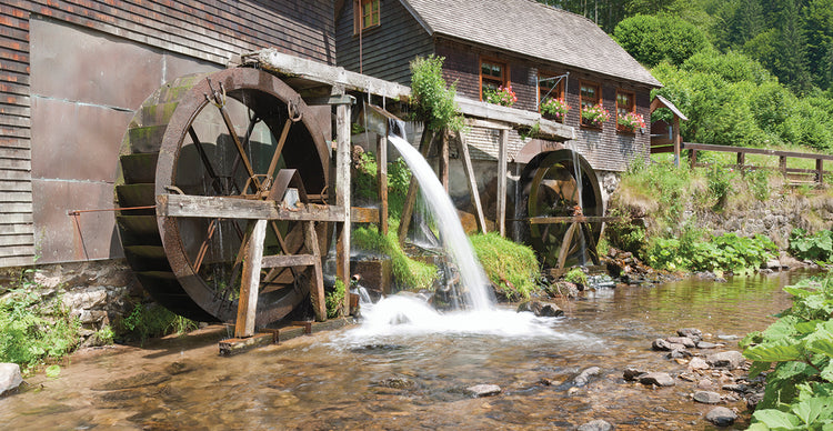 Molino de agua de la selva negra Lienzo