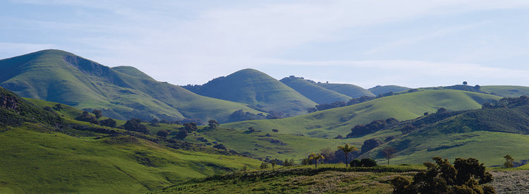 Valle de Edna de California Lienzo
