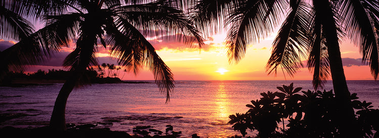 Big Island Tropical Sunset