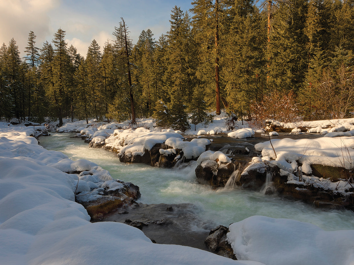 White Velvet Snow Creek Lienzo