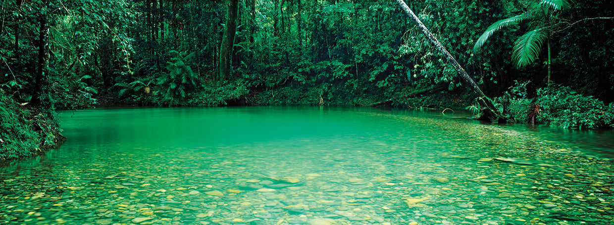 Cooper Creek Queensland