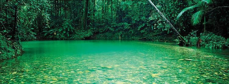 Cooper Creek Queensland