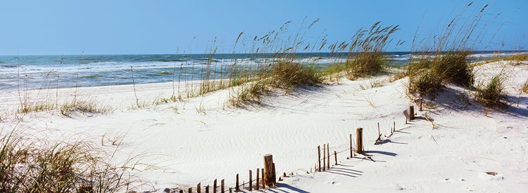 Sandy Beach Pensacola