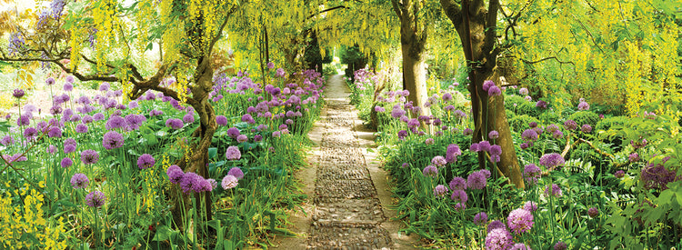 Camino del jardín inglés Lienzo