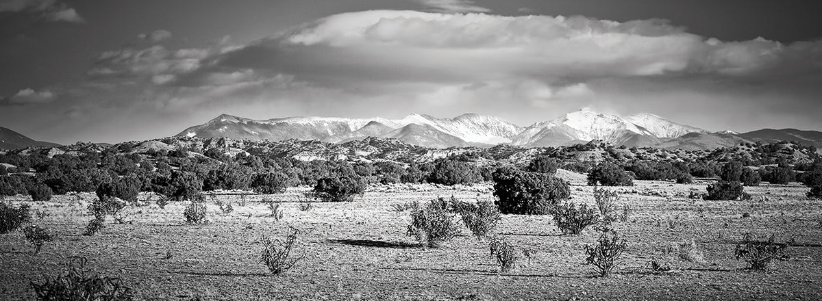 New Mexico Landscape