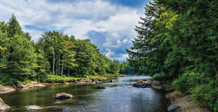 Moose River Upstate NY