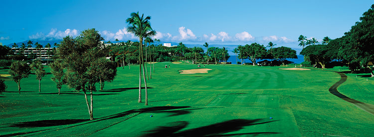Tropical Maui Golf Course