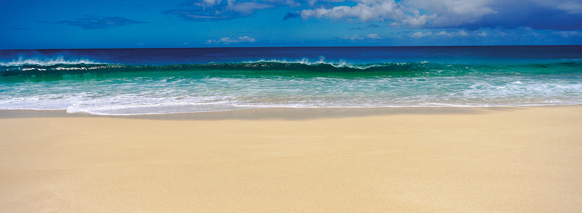 Sunny Sands Oahu