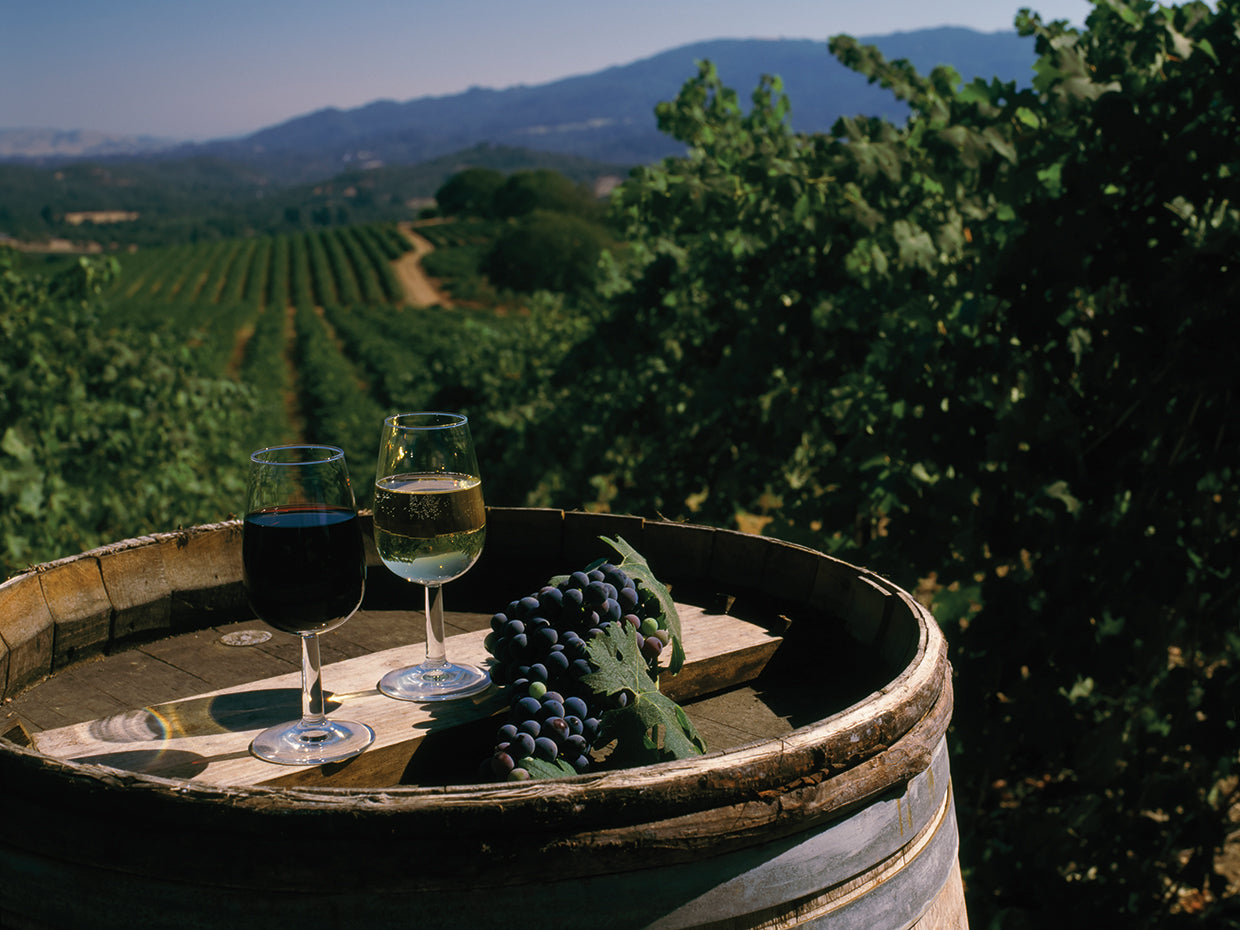 Sonoma te saluda Lienzo